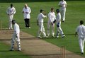 The Netherfield players congratulate Chris Miller on his caught and bowled of James Ellis who is leaving the field